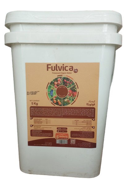 فولویک اسید